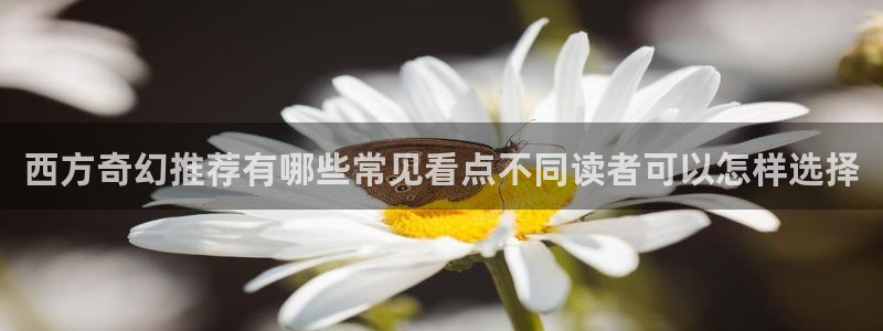梦漫漫画章节更新
